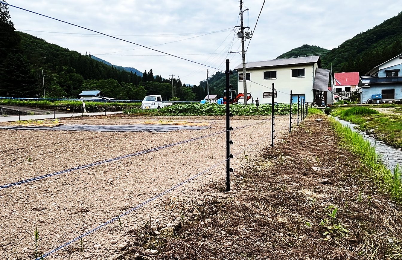 只見町 個人のお客さま
イノシシ対策:FRP支柱 電気柵